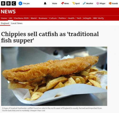 Secondo un’inchiesta della BBC, alcuni chippies